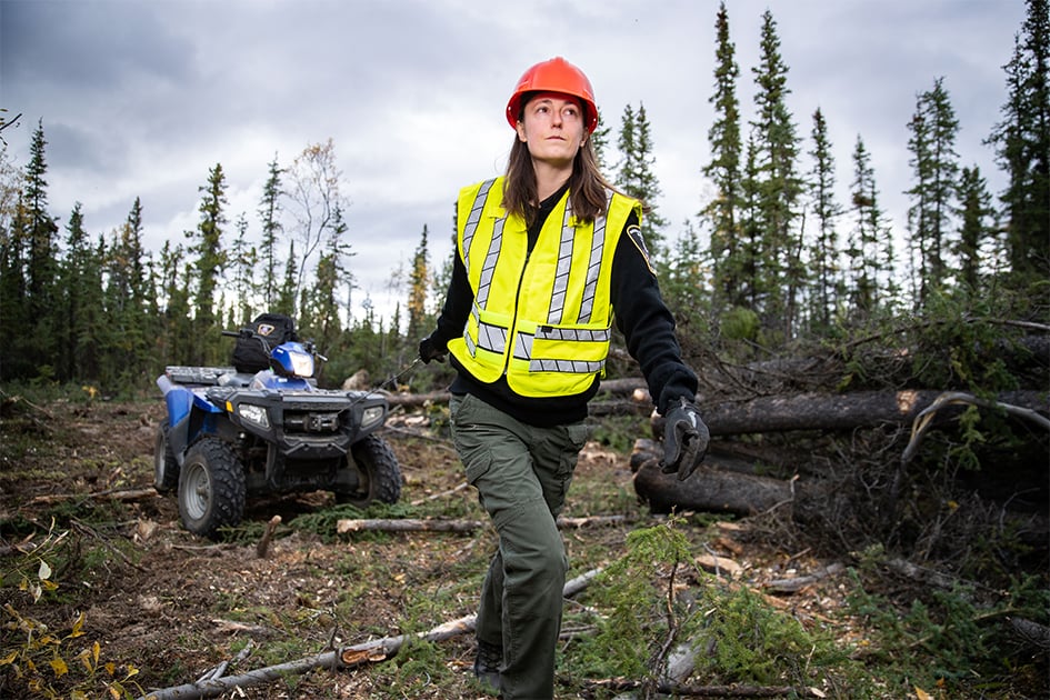A natural resource officer pulling an all-terrain vehicle in a field of cut trees.