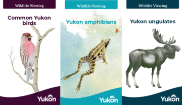 Three wildlife viewing guide book covers. 