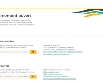 Open Government