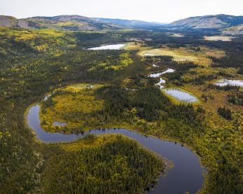 Aerial view of the meandering Nordenskiold River (Tsǟlnjik Chú) south of Carmacks.