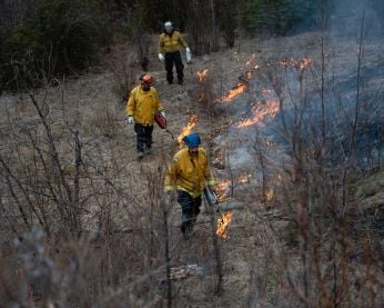 Wildland firefighters conduct a prescribed burn near Whitehorse in 2025.