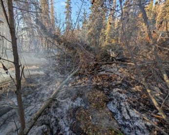 A smouldering human-caused fire.