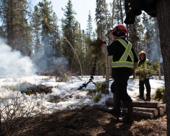 A contractor burns piled forest debris.