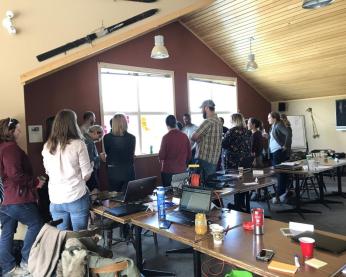 Government web managers in a workshop to learn how to write for the web