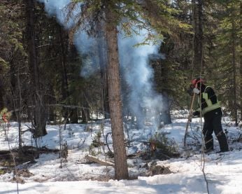 A contractor burns piled forest debris.