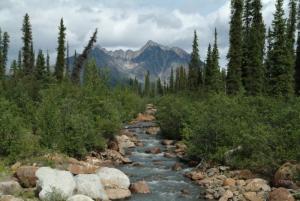Nahanni Range Road