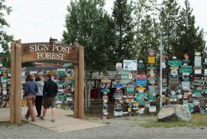 Sign post forest