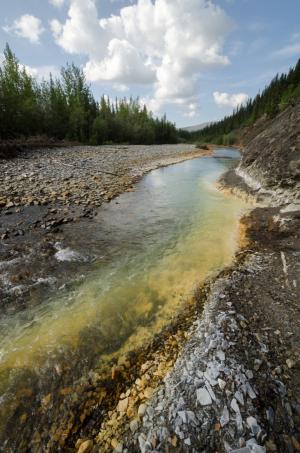 Red Creek and Sulphur Springs
