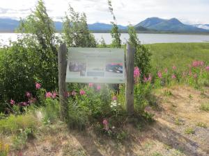 Dezadeash viewpoint