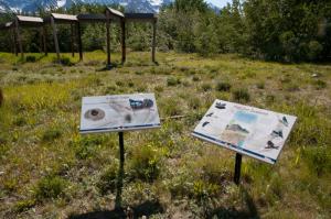 Dezadeash River Trail
