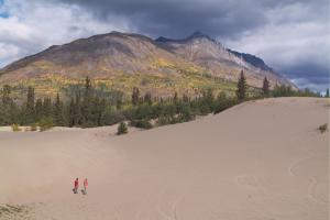 Carcross Desert