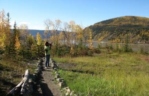 Trail in fall