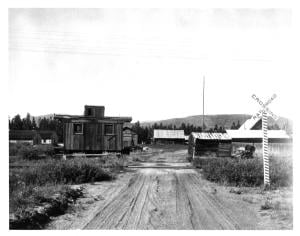 Robinson Roadhouse