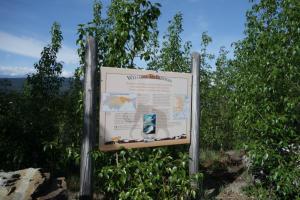 Welcome Beringia