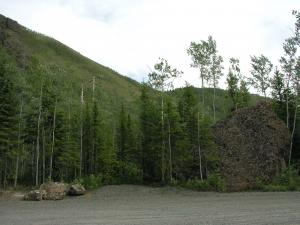 Whitehorse Trough