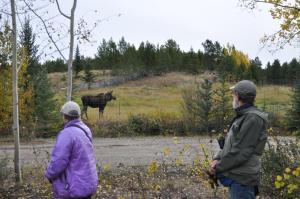Yukon Wildlife Preserve