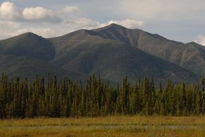 Mt. Haldane