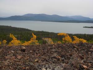 Rock Glacier Viewpoint
