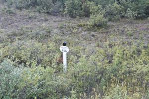 Milepost 855