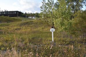Historic milepost 866