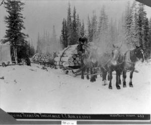 Fox Gulch