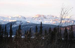Icefield ranges