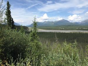 Kluane River overlook