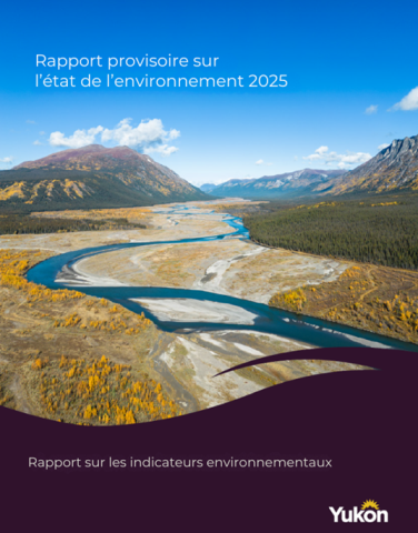 Rapport provisoire sur  l’état de l’environnement 2025