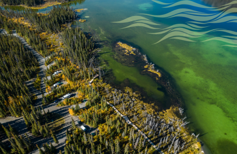 aerial view of pine lake
