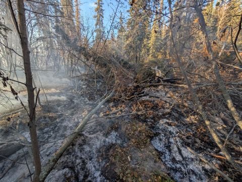 A smouldering human-caused fire.