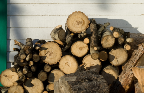 Wood pile