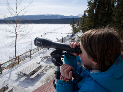 Girl using a scope at Swan Haven Interpretive Centre