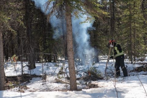 A contractor burns piled forest debris.