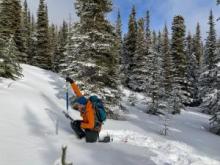 Water Resources' Alex Mischler weighs a snow sample at Mount McIntyre snow course in the Whitehorse area.