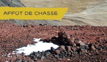 Affût de chasse