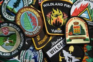 Cette année, le Yukon a collaboré avec plusieurs organismes de lutte contre les feux de forêt du pays. (Gouvernement du Yukon)