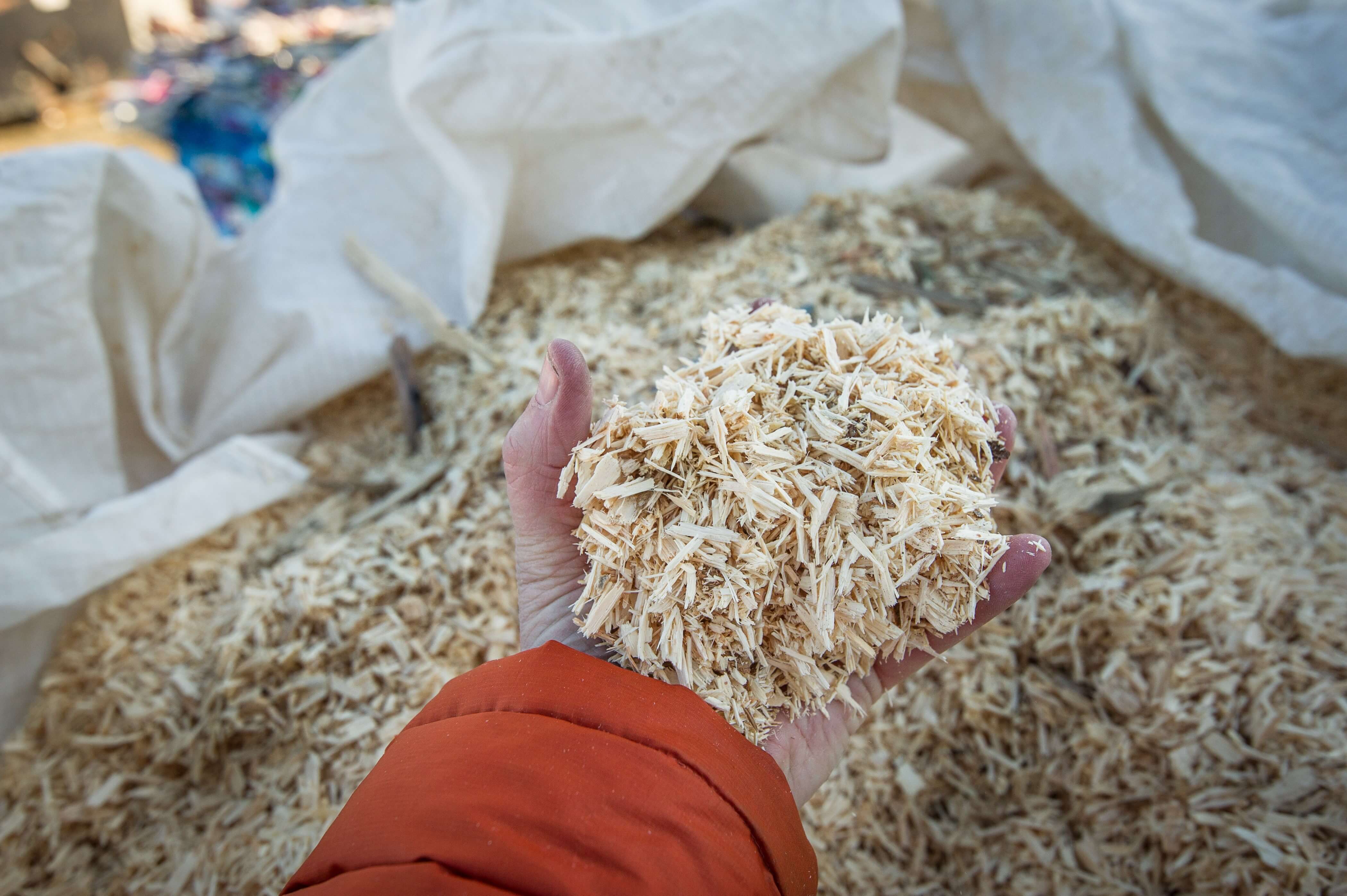 A hand holding wood chips