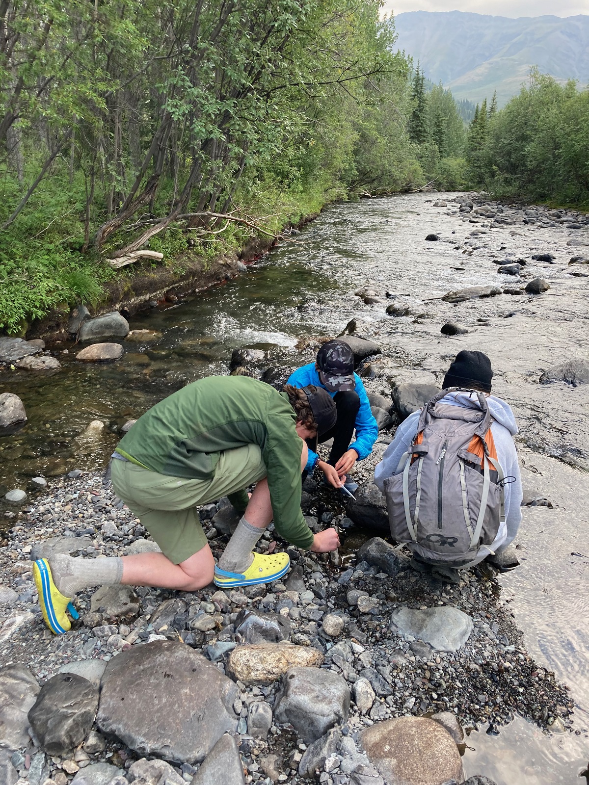 Senior Conservation Action Team members collecting samples in a creek.