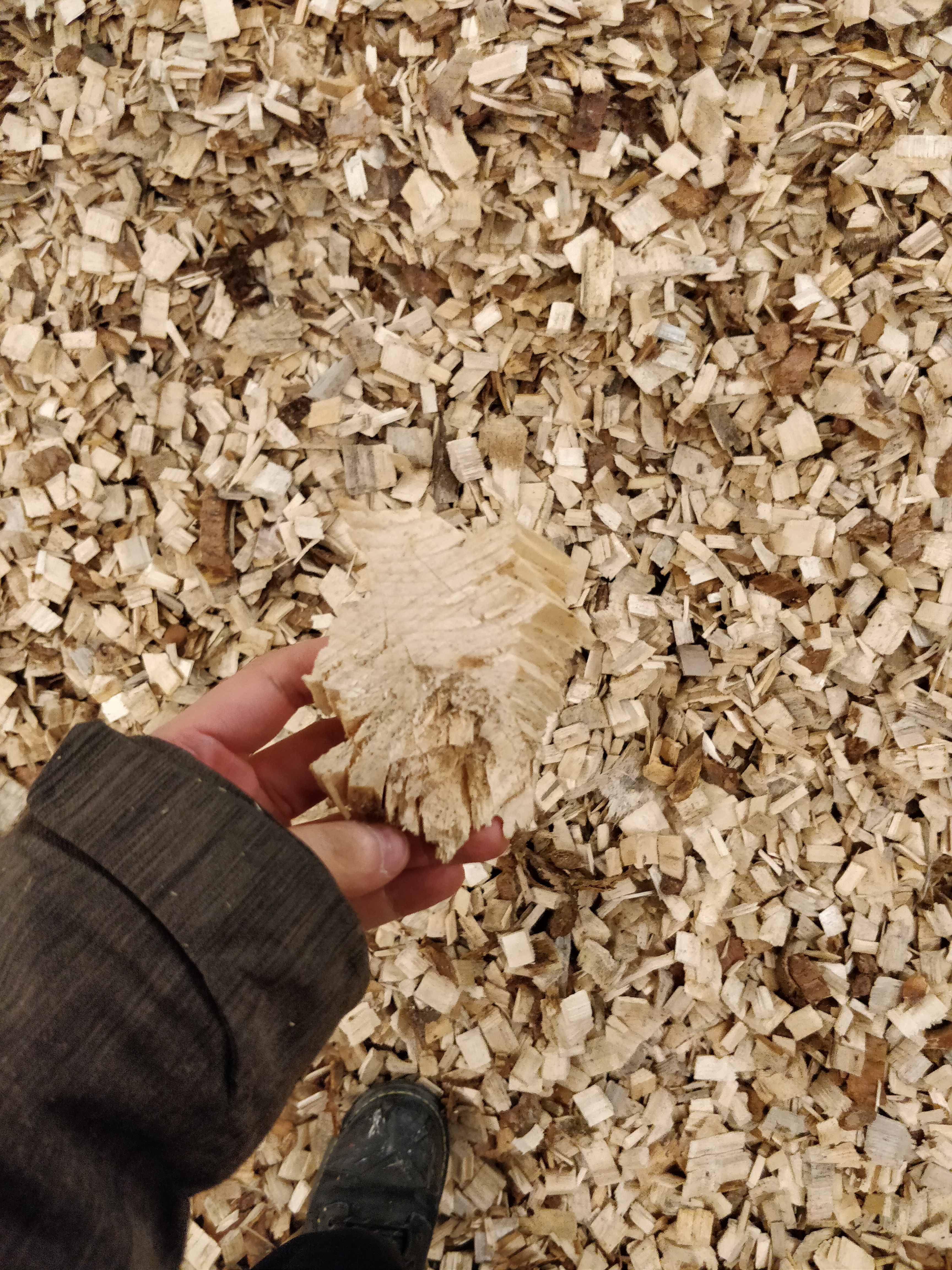On retrouve au Yukon des biocombustibles faits à partir de copeaux de bois.