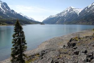 Lac Bennett, île Pennington. Photo : Gouvernement du Yukon / D Crowe