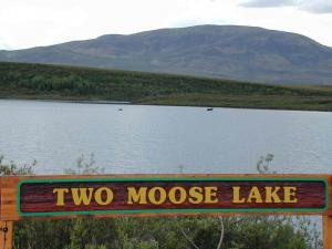 Two moose lake