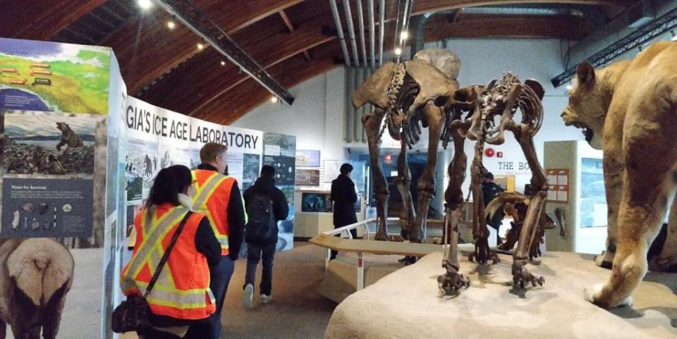 The GreenPI team and Capital Planning Division’s senior management team conducts an energy assessment in the Beringia Center in Whitehorse. (October 2022)