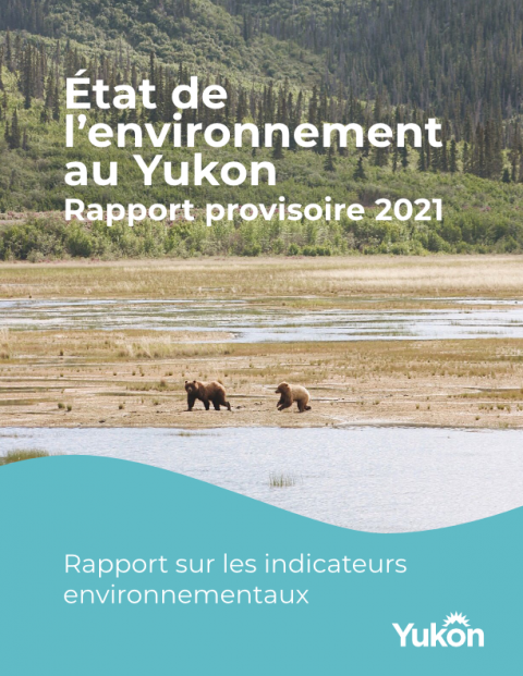 Couverture du rapport provisoire sur l'état de l'environnement de 2021