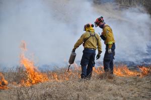 Les pompiers de la Section de la gestion des feux de forêt procèdent à un brûlage dirigé à Takhini, en 2018.